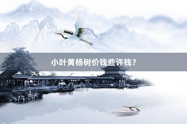 小叶黄杨树价钱些许钱？