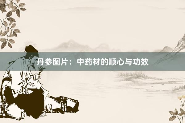 丹参图片：中药材的顺心与功效
