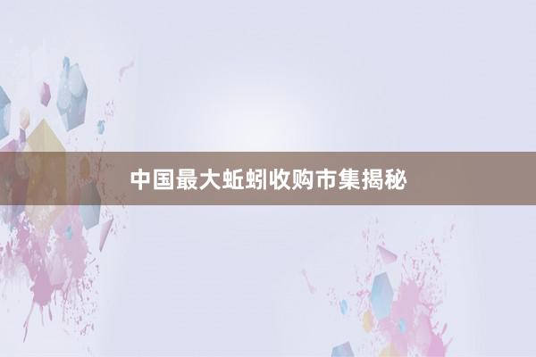 中国最大蚯蚓收购市集揭秘